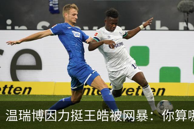 温瑞博因力挺王皓被网暴：你算哪根葱，给我们家哥哥提鞋都不配